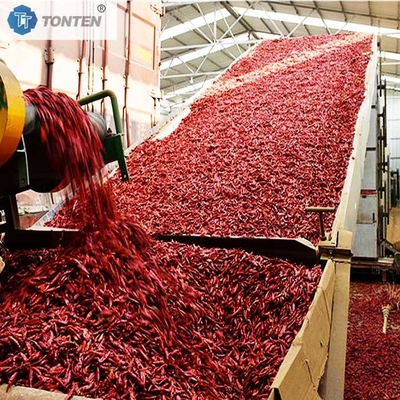 Máquina secadora de cinturón Pimienta Chilli Crisantemo Secadora de cinturón Deshidratación