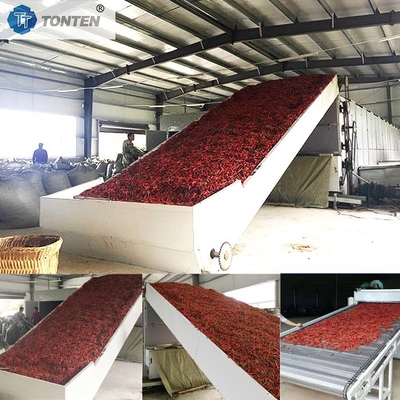 Máquina de secado con cinta transportadora de crisantemo de chile y yuca