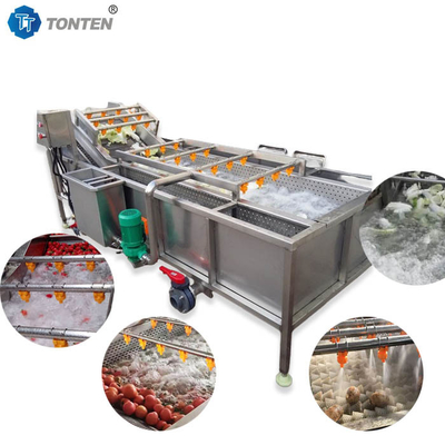 Máquina de limpieza de alimentos de 440 V Máquina de lavado de verduras industriales para aceitunas y aguacates