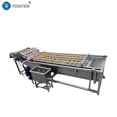 Máquina de limpieza de alimentos de burbujas automática para lavar frutas y verduras