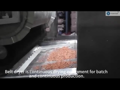 secador de la correa