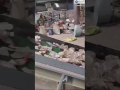 Línea de reciclaje de lavado de escamas de plástico duro blando Reciclaje de plástico PET